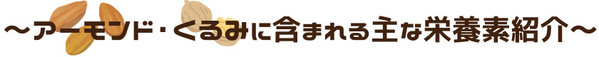 アーモンド・くるみに含まれる主な栄養素紹介