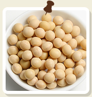 大豆のイメージ