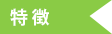ポイント特徴